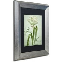 Védjegy Képzőművészet Allium i Canvas Art by Color Bakery Black Matte, ezüst keret