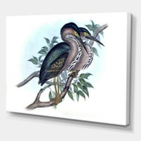 Designart 'Ancient Australian Birds VII' hagyományos vászon falfestmény nyomtatás