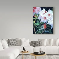 Védjegy Képzőművészet 'House Finch és Rhododendron' Canvas Art készítette: Ron Parker