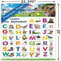 Animal Club-betűk ABC fali poszter Push csapok, 22.375 34