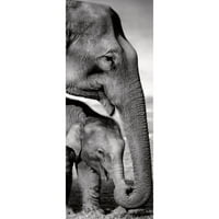 Prinz anya és baba elefánt 11 35.5 Fotózás vászon fali művészet, Fekete-Fehér