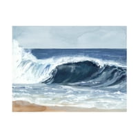 Victoria Barnes 'Surf Spray II' vászon művészet
